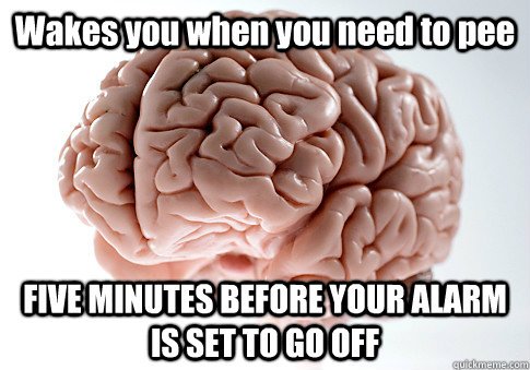 Wakes you when you need to pee FIVE MINUTES BEFORE YOUR ALARM IS SET TO GO OFF   Scumbag Brain