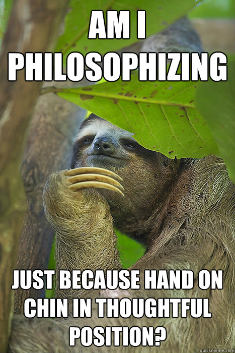 am i philosophizing  just because hand on chin in thoughtful position?  Philososloth