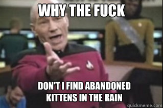 Why The Fuck Don't I find abandoned kittens in the rain - Why The Fuck Don't I find abandoned kittens in the rain  star trek