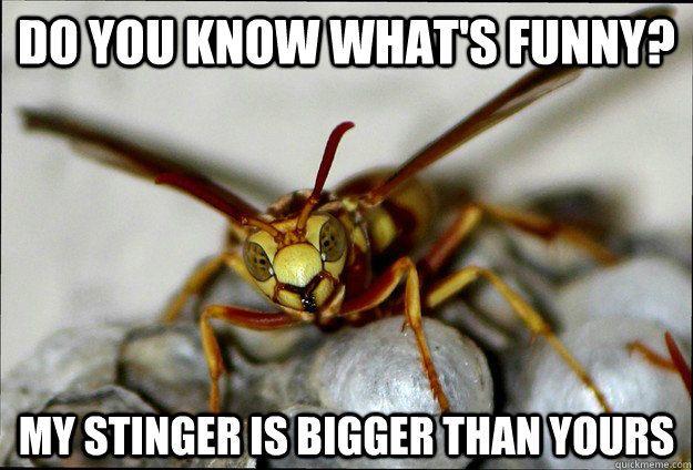 Do you know what's funny? My stinger is bigger than yours - Do you know what's funny? My stinger is bigger than yours  breakingbadwasp