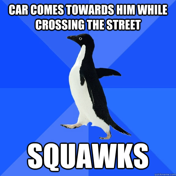 car comes towards him while crossing the street squawks  Socially Awkward Penguin