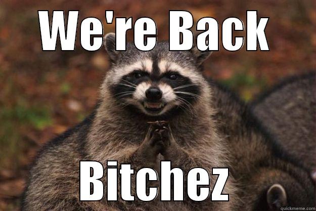 We're back! - WE'RE BACK BITCHEZ Evil Plotting Raccoon