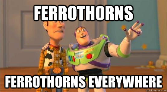 Ferrothorns ferrothorns everywhere  Buzz Glitter