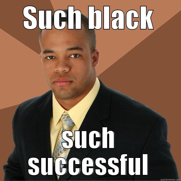 SUCH BLACK SUCH SUCCESSFUL Successful Black Man