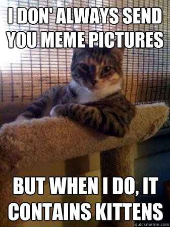 I don' always send you meme pictures but when I do, it contains kittens  The Most Interesting Cat in the World