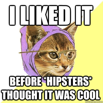 I liked it before *hipsters* thought it was cool  Hipster Kitty