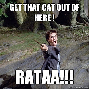 get that cat out of here ! RATaa!!!  Pissed off Harry