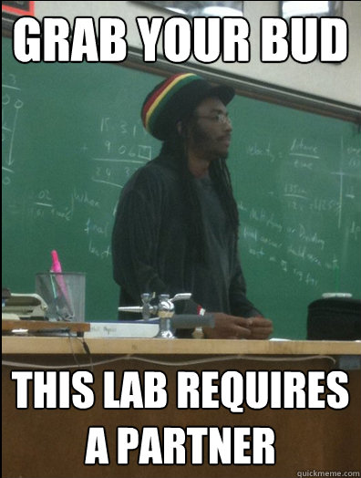 Grab your bud this lab requires a partner  Rasta Science Teacher