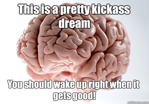 This is a pretty kickass dream You should wake up right when it gets good!   Scumbag Brain