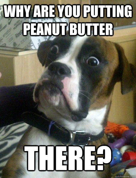 why are you putting peanut butter there?  Baffled boxer