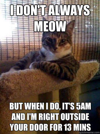 I don't always meow but when I do, it's 5am and i'm right outside your door for 13 mins  The Most Interesting Cat in the World