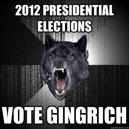 2012 Presidential Elections VOTE GINGRICH   Insanity Wolf