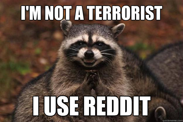 I'm not a terrorist I use reddit  Evil Plotting Raccoon