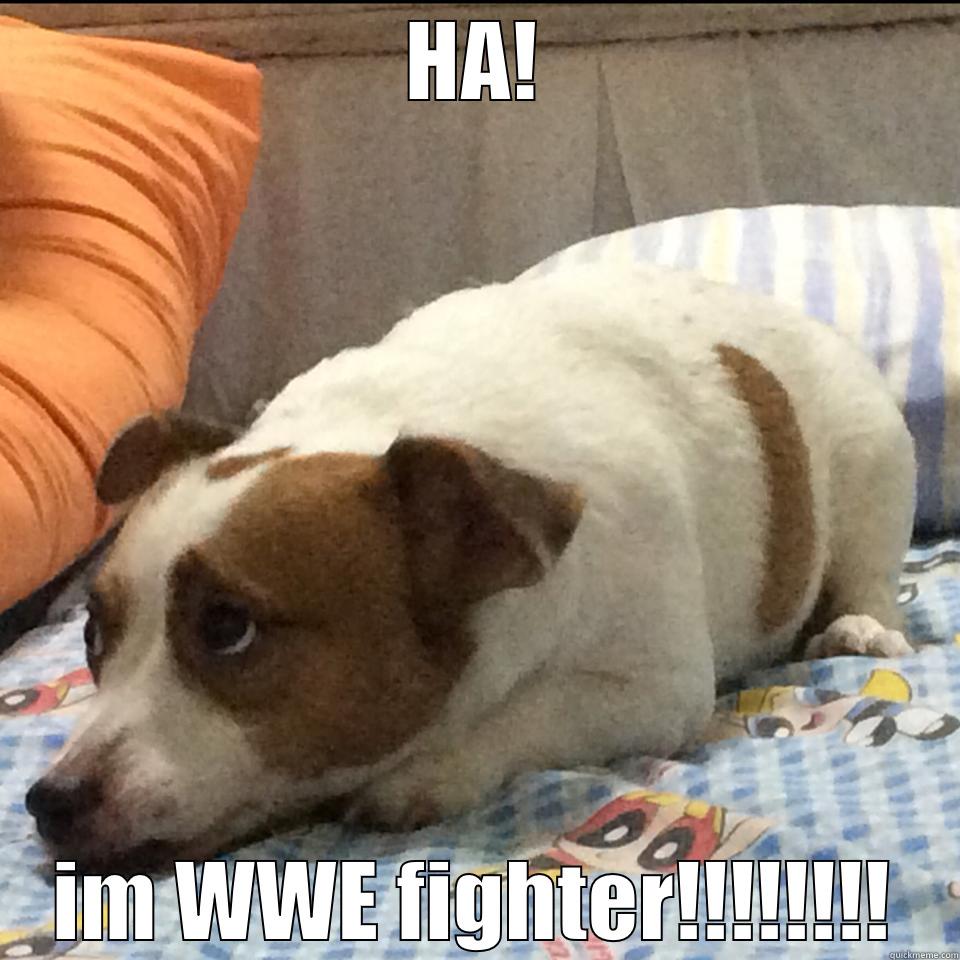 HA! IM WWE FIGHTER!!!!!!!! Misc