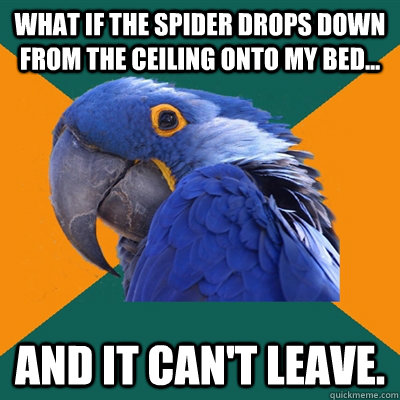What if the spider drops down from the ceiling onto my bed... and it can't leave.  Paranoid Parrot