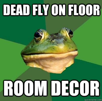 Dead fly on floor Room Decor  Foul Bachelor Frog