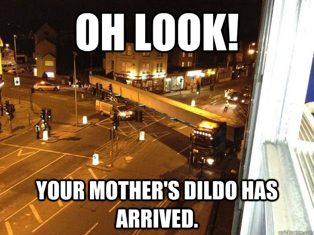 Oh Look Your Moms Dildo Arrived Moms Dildo Quickmeme 
