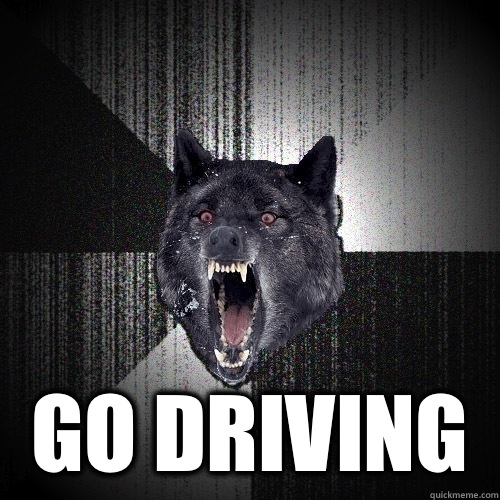  GO DRIVING  Insanity Wolf