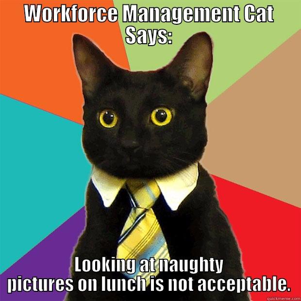 workforce cat naughty - WORKFORCE MANAGEMENT CAT SAYS: LOOKING AT NAUGHTY PICTURES ON LUNCH IS NOT ACCEPTABLE. Business Cat