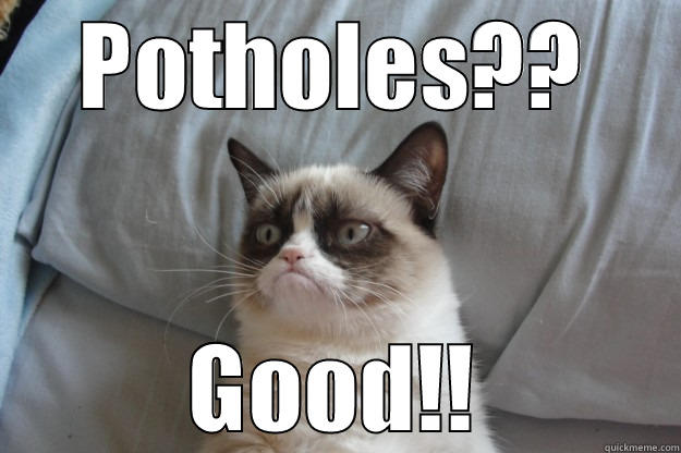 the bumpy road - POTHOLES?? GOOD!! Grumpy Cat