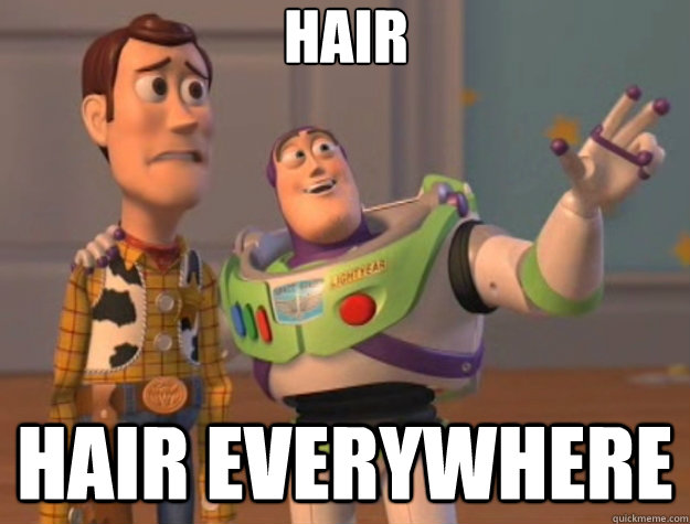 Hair Hair everywhere - Hair Hair everywhere  Toy Story