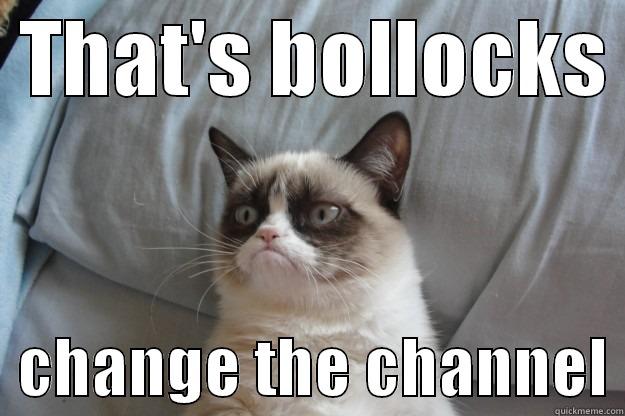 That's bollocks change the channel Grumpy cat -  THAT'S BOLLOCKS    CHANGE THE CHANNEL Grumpy Cat