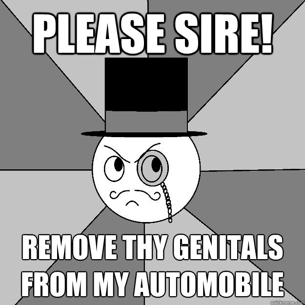 please sire! remove thy genitals from my automobile  