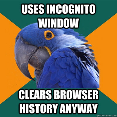 Uses incognito window clears browser history anyway  Paranoid Parrot