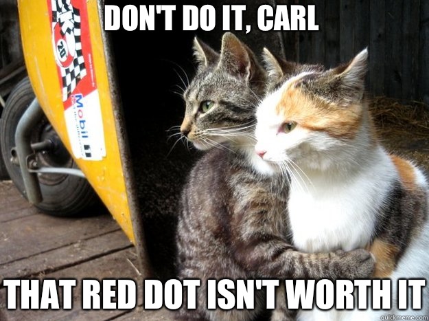 Don't do it, carl That red dot isn't worth it  Restraining Cat