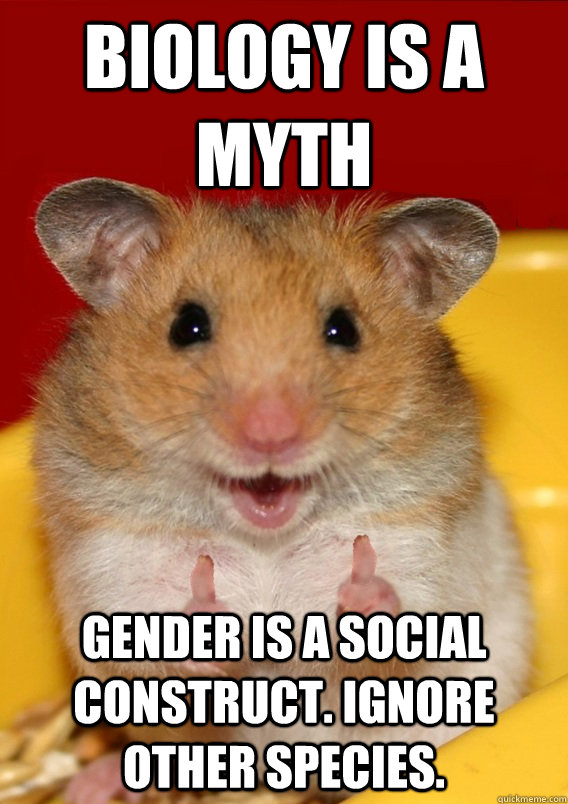 Biology is a myth Gender is a social construct. Ignore other species.  Rationalization Hamster