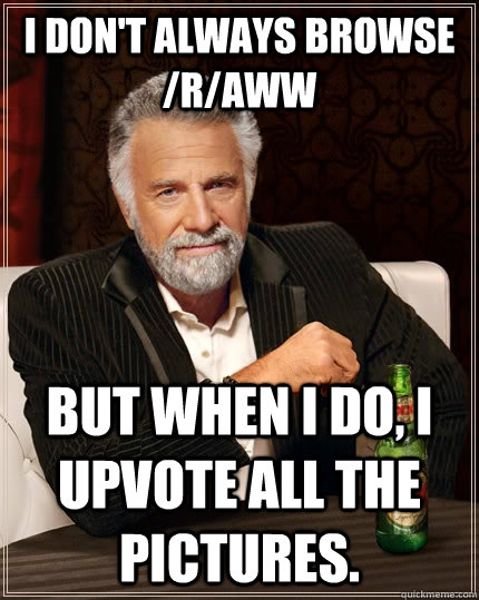 I don't always browse /r/aww but when I do, I upvote all the pictures.  The Most Interesting Man In The World