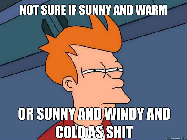 Not sure if sunny and warm or sunny and windy and cold as shit  Futurama Fry