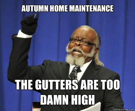 autumn home maintenance the gutters are too damn high  Too Damn High