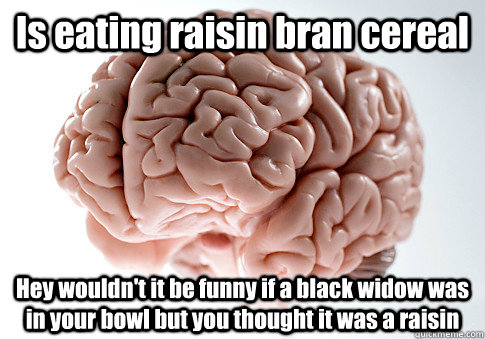 Is eating raisin bran cereal Hey wouldn't it be funny if a black widow was in your bowl but you thought it was a raisin  - Is eating raisin bran cereal Hey wouldn't it be funny if a black widow was in your bowl but you thought it was a raisin   Scumbag Brain