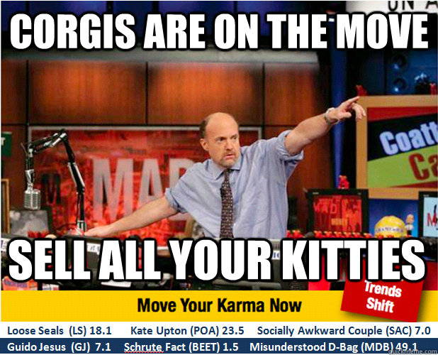 corgis are on the move sell all your kitties  Jim Kramer with updated ticker