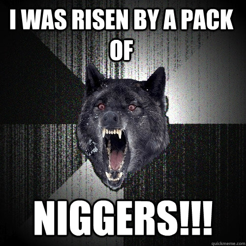 I was risen by a pack of niggers!!!  Insanity Wolf