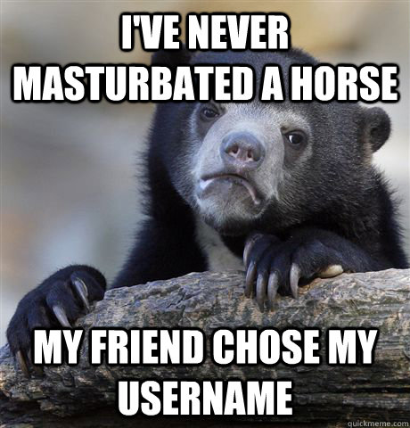 I've never masturbated a horse My friend chose my username  Confession Bear