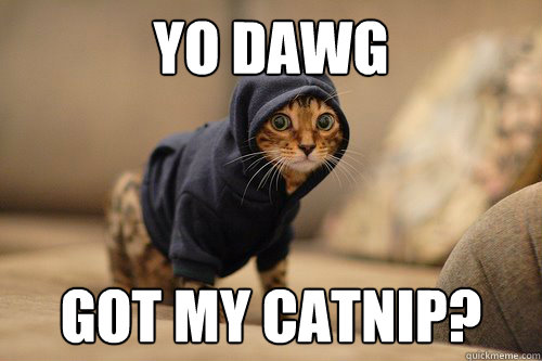 Yo dawg got my catnip? - Yo dawg got my catnip?  snoop kitty cat