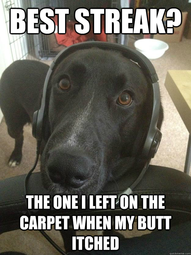 Best Streak? The one I left on the carpet when my butt itched  Gamer Dog