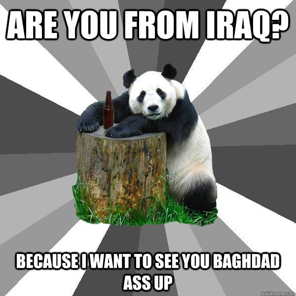Are you from Iraq? Because I want to see you baghdad ass up - Are you from Iraq? Because I want to see you baghdad ass up  Pickup-Line Panda