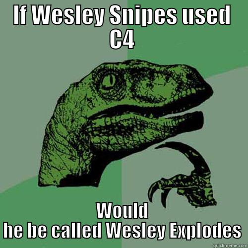 IF WESLEY SNIPES USED C4 WOULD HE BE CALLED WESLEY EXPLODES Philosoraptor