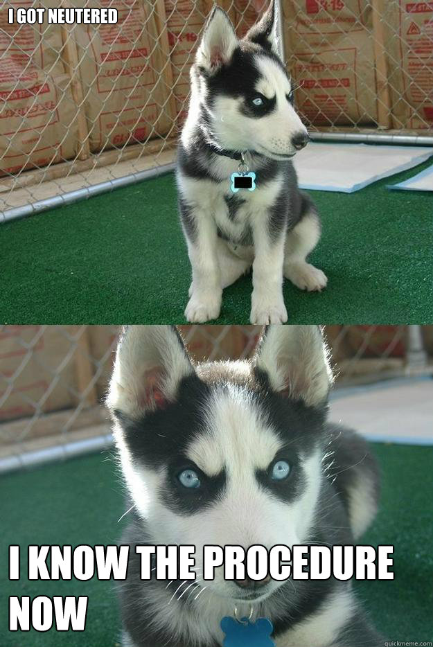 I got neutered 
I know the procedure now  Insanity puppy