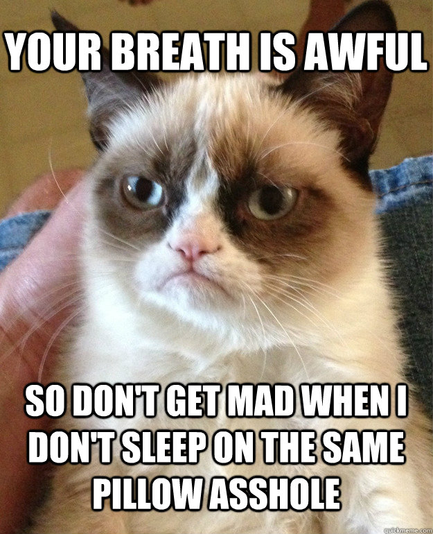 your breath is awful  so don't get mad when i don't sleep on the same pillow asshole  Grumpy Cat