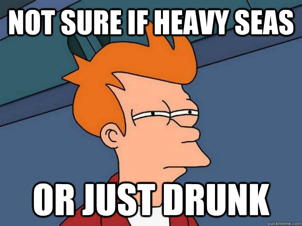 Not sure if heavy seas Or just drunk  Futurama Fry