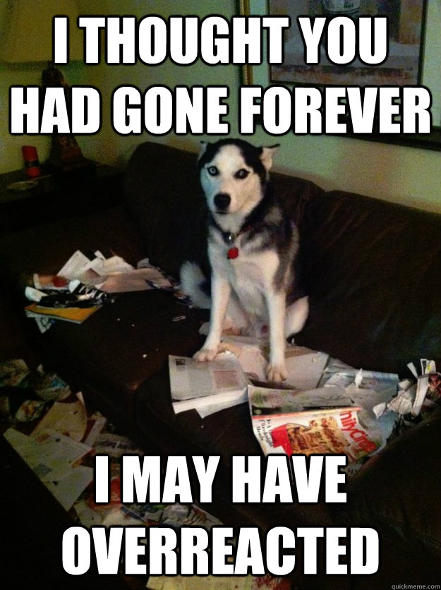 I THOUGHT YOU HAD GONE FOREVER I MAY HAVE OVERREACTED - I THOUGHT YOU HAD GONE FOREVER I MAY HAVE OVERREACTED  ANXIOUSLY SEPARATED DOG