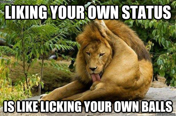 Liking your own status Is like licking your own balls - Liking your own status Is like licking your own balls  Lion