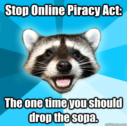 Stop Online Piracy Act: The one time you should drop the sopa.  Lame Pun Coon