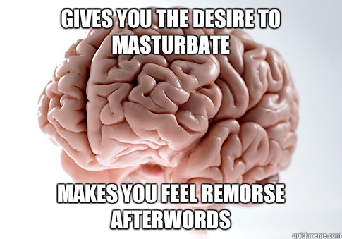Gives you the desire to masturbate Makes you feel remorse afterwords  Scumbag Brain