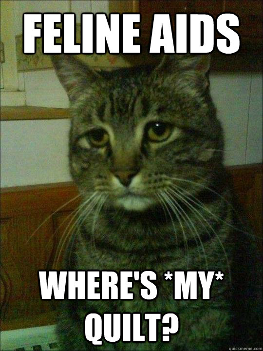 feline aids where's *my* quilt? - feline aids where's *my* quilt?  Depressed cat