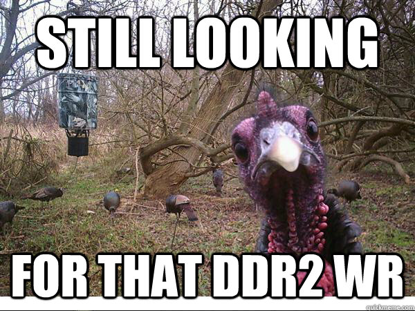 Still looking for that DDR2 WR - Still looking for that DDR2 WR  ney turkey